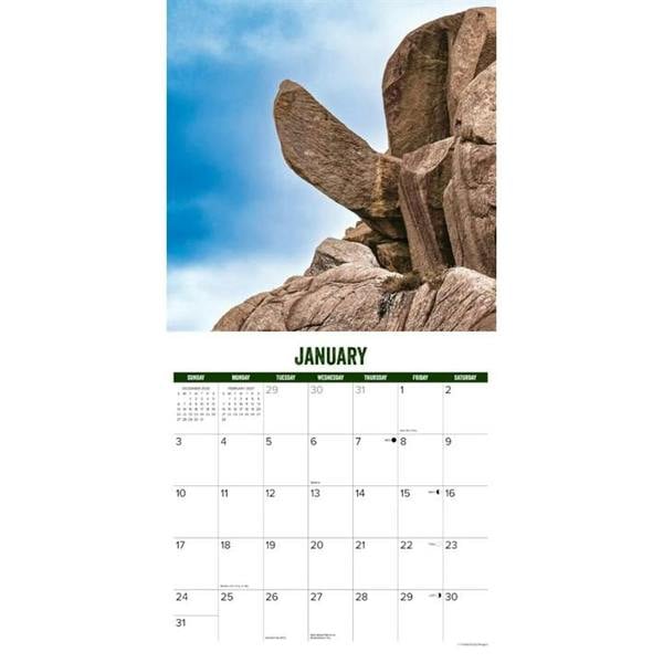 Naughty by Nature Calendar 2027, Wall Calendars, Month To View, Humour, Gift