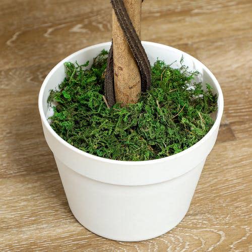 Dyzi 2pcs 90cm Artificial Rose potted Faux Tree Plant Garden Patio Décor