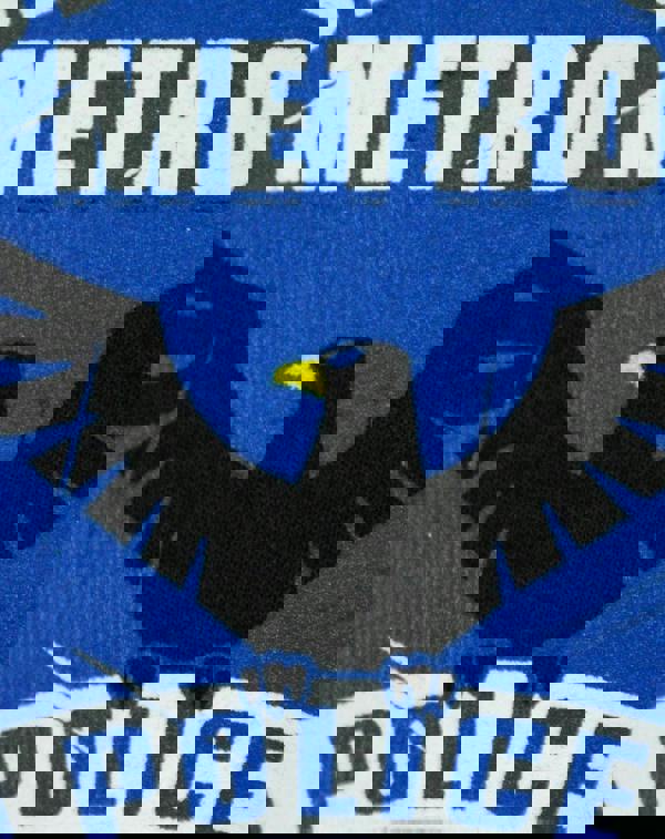 DC Comics Mens Blue Arrow Short Sleeved T-Shirt