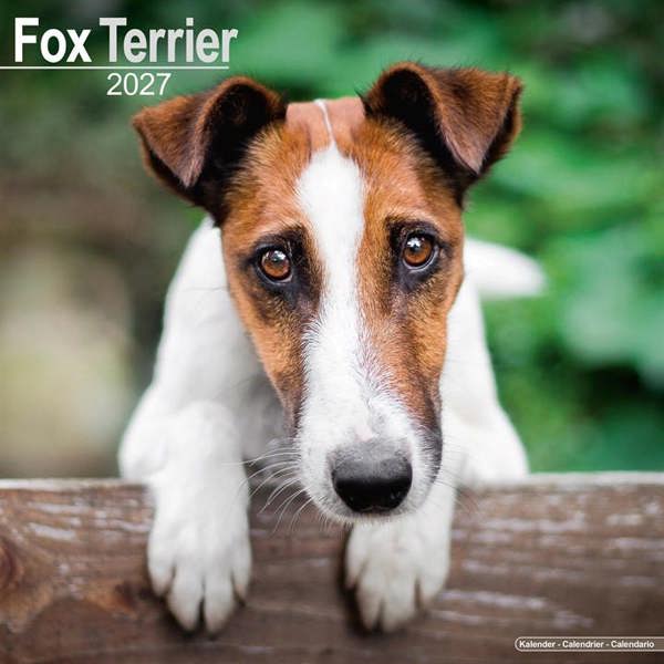 Fox Terrier Calendar 2027, Wall Calendars, Month To View, Dogs, Gift