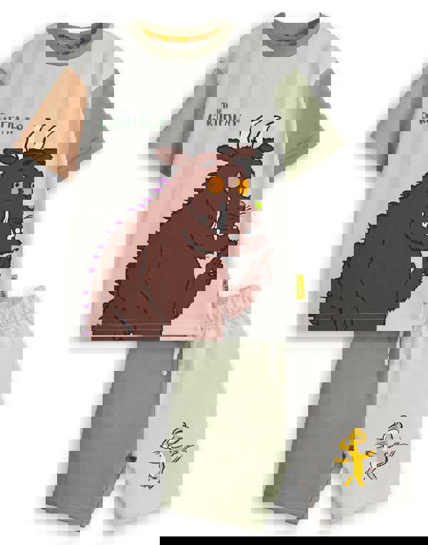 Gruffalo & Friends Boys Multicoloured Colour block T-Shirt and Shorts Set