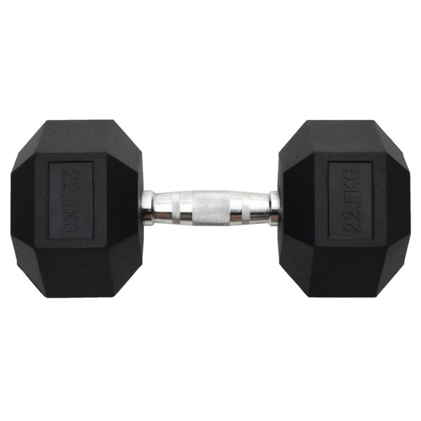 Berkfield Dumbbell 22.5 kg Cast Iron