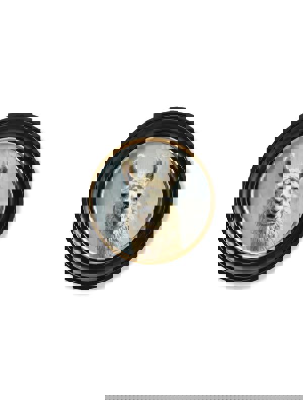 Exceptional Art The Goofy Llama - Oxford round frame