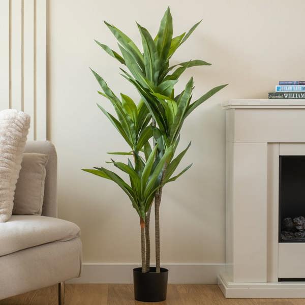 Scottish Everlastings 120cm Real Touch Draceana Tree