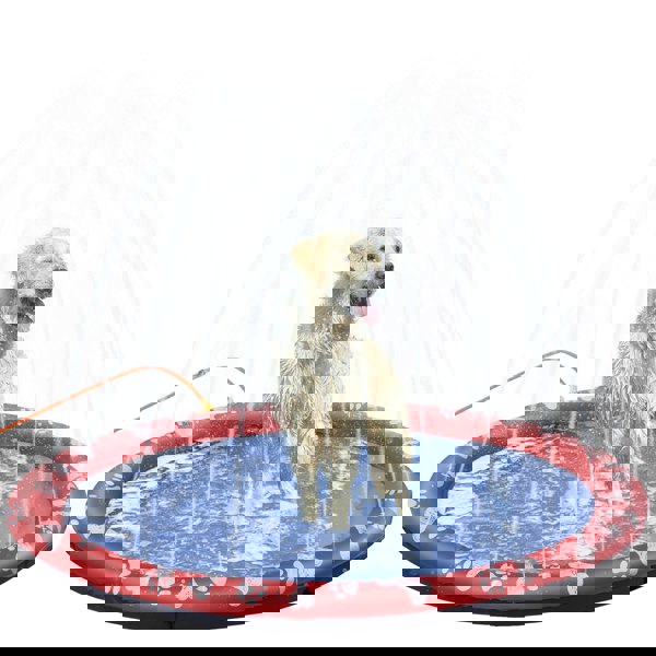 D01-032V01RD