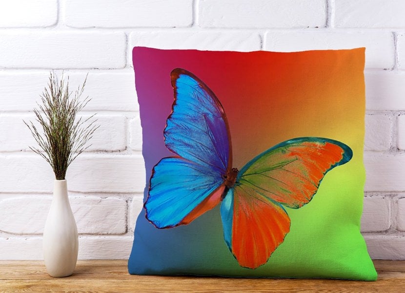 Warren Reed Vibrant Butterfly Cushions