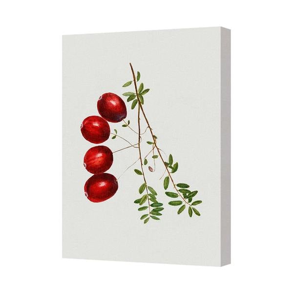 Benjamin Tate Design Red Berry Branch Canvas Art Print Handmade In The UK