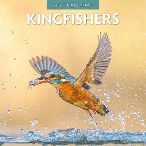 Kingfishers Calendar 2027, Wall Calendars, Month To View, Animals, Gift
