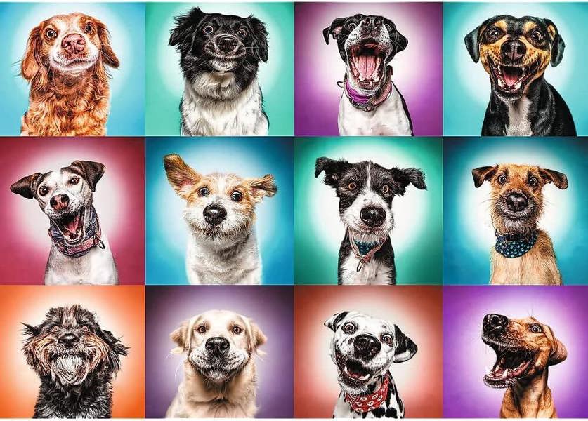 Trefl Funny Dog Portraits Puzzle Adults & Kids - 2000 Pieces