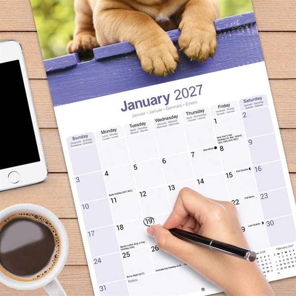 Dogue De Bordeaux Calendar 2027, Wall Calendars, Month To View, Dogs, Gift