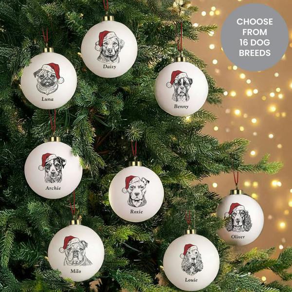 Personalised Pet's Christmas Eve Box - lifestyle shot