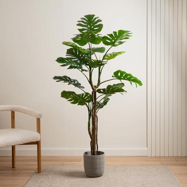 Scottish Everlastings 160cm Real Touch Monstera