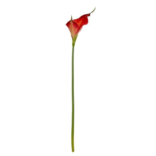 Wyld Haus Set of 3 Artificial Flowers Fireball Calla Lily Stems