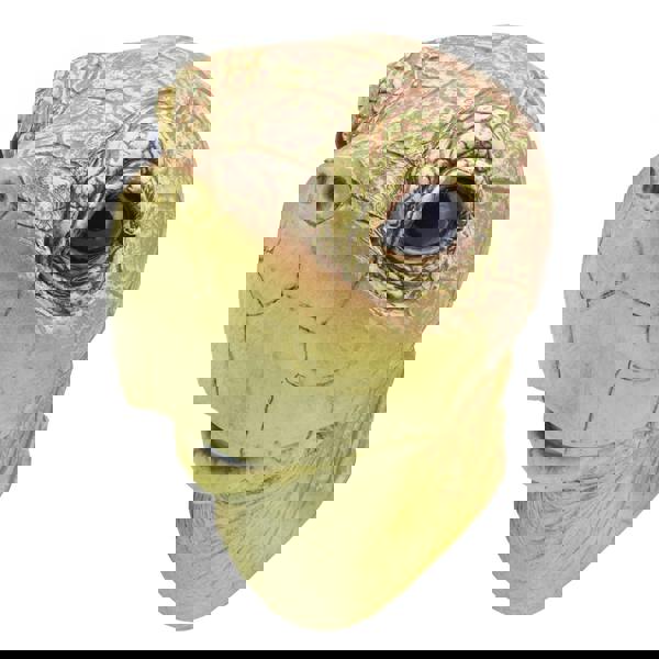 Bristol Novelty Unisex Turtle Mask - Multicoloured - 