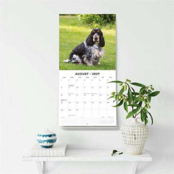 English Cocker Spaniels Calendar 2027, Wall Calendars, Month To View, Dogs, Gift