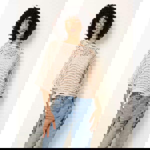 Blue Vanilla Round Neck Net Top