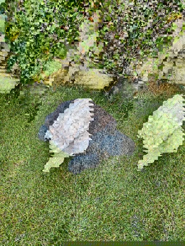 Medium Stone Cast Tortoise Garden Ornament