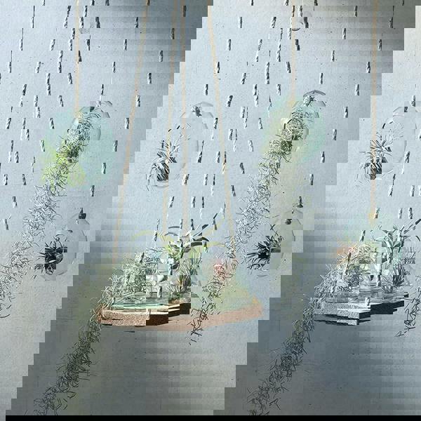 LSA Canopy Recycled 12cm Hanging Planter Clear