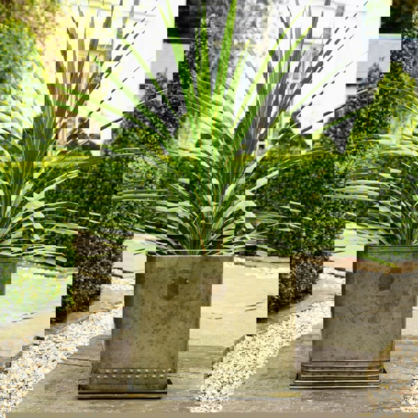 #color_aged-brass