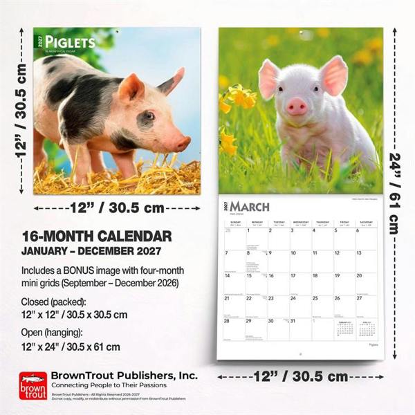 Piglets Calendar 2027, Wall Calendars, Month To View, Animals, Gift