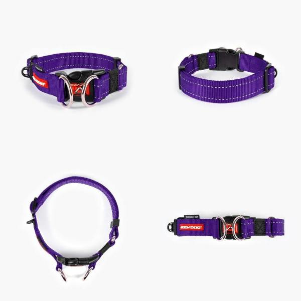 EzyDog Double Up Dog Collar in Purple
