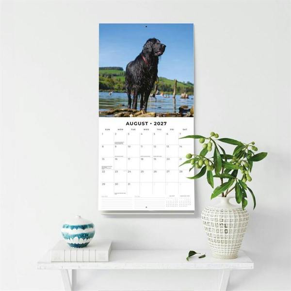 Flat Coated Retrievers Calendar 2027, Wall Calendars, Month To View, Dogs, Gift