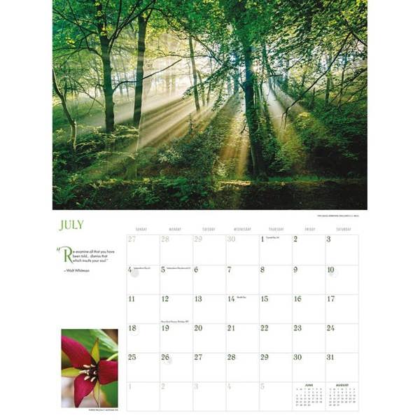 Into The Woods Deluxe Calendar 2027, Deluxe Calendars, Month To View, Natural World, Gift