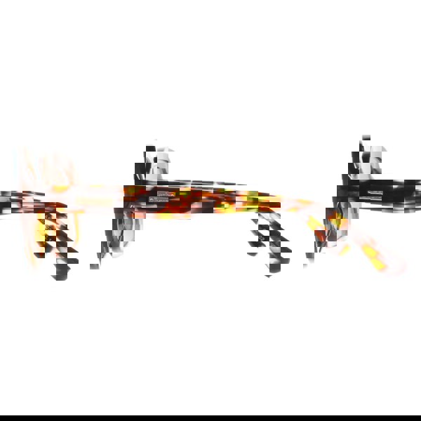 Barbour Sunglasses 3070 102 Havana Brown