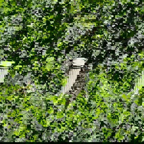 Simple Roman Style Short Pillar Column