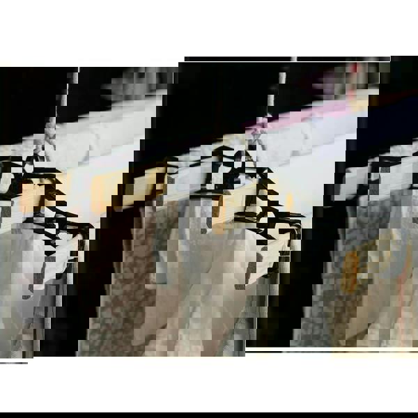 Gr8 Home Edwardian Cast Iron Ceiling Airer 4 Lath Victorian Pulley Dryer