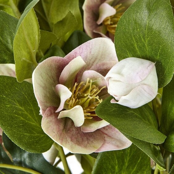 Wyld Haus Artificial Plant Variegated Pink Hellebore Plant In Grey Ceramic Pot