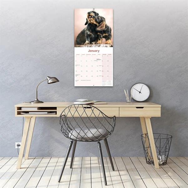 Wire Haired Dachshund Calendar 2027, Wall Calendars, Month To View, Dogs, Gift