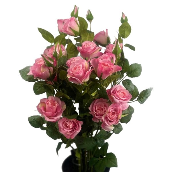 Botanik 60cm Premium Rose Bush Pink Silk Flowers and Leaves