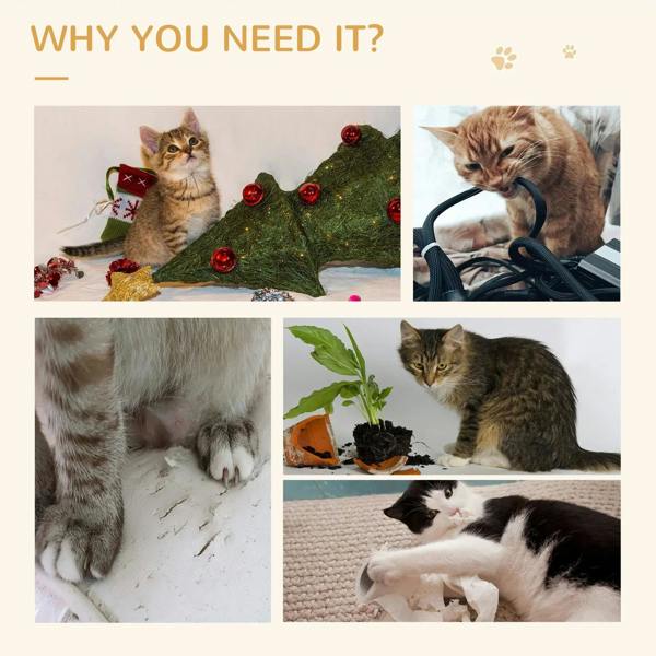 Cat activity collage with paw icons, featuring the scratching furniture