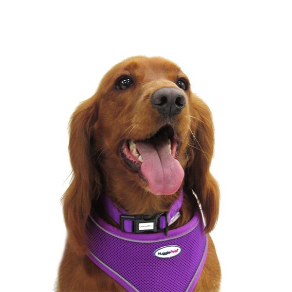 HugglePets Air Mesh Dog Harness