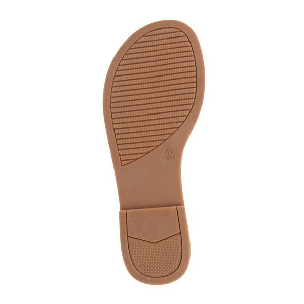 Cipriata Celina Jewelled Mule Sandals