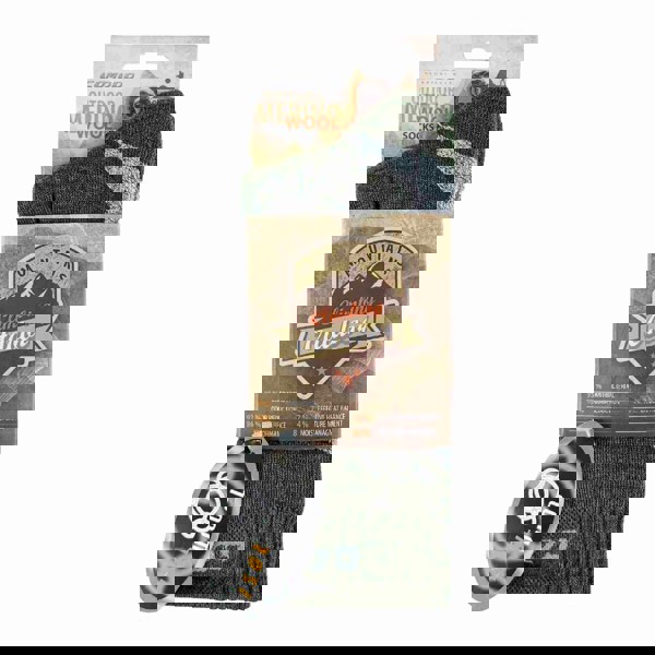 t4option1_2