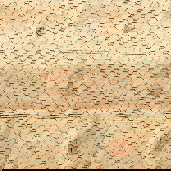 Samuel Alexander 5m x 0.6m x 25mm Green PVC Coated Galvanised Chicken Garden Wire Netting / Fencing