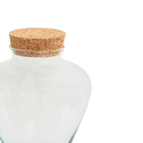 Ivyline Teardrop Glass Lid Terrarium