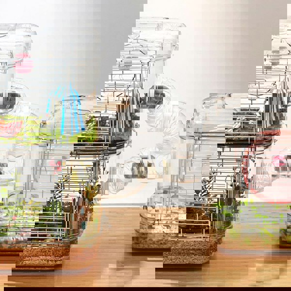 Portable Transparent Hamster Cage Living and Home