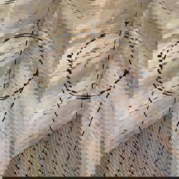 Samuel Alexander 2 Pack of Tom Chambers Cottage Heavy Duty Black Metal Steel Herbaceous Garden Plant Support Ring Large 80cm x 45cm