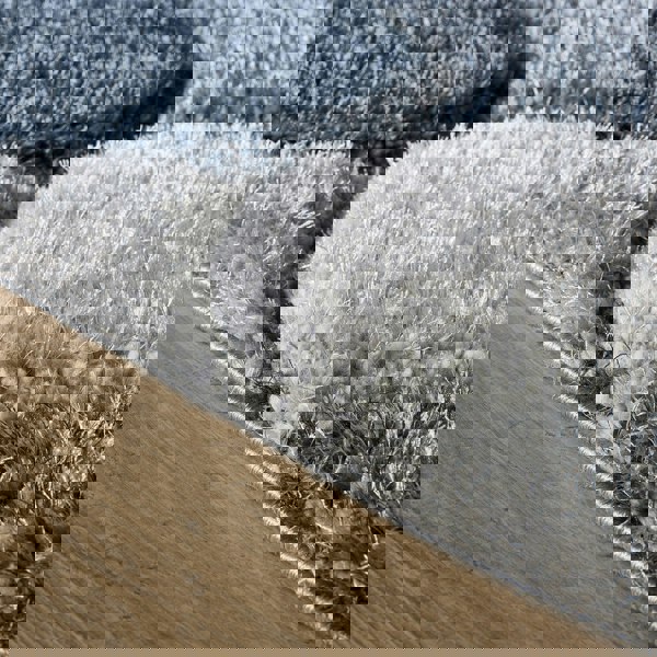 Origins 3D Scallop Navy