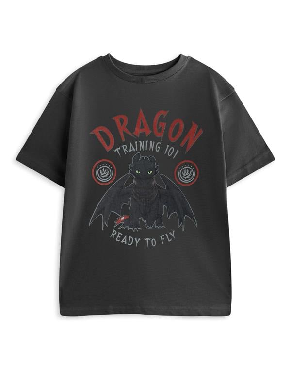 How to Train Your Dragon Boys Grey Training 101 Short Sleeved T-Shirt
