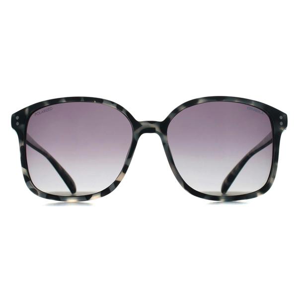 O'Neill Sunglasses Praia 195P Black Tortoise Grey Gradient Polarized