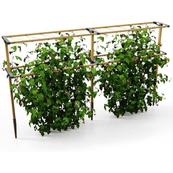 BERRY BUDDY climbing solution for berries - Light brown - Grey