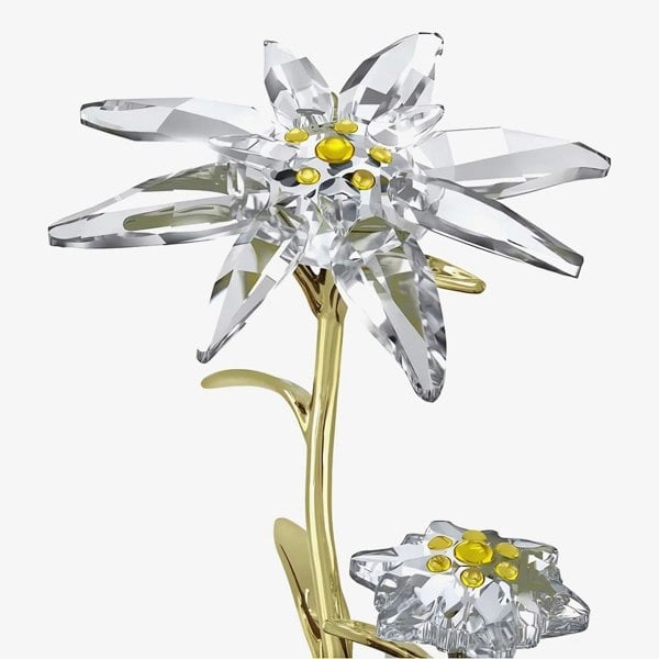 Swarovski Florere 130th Anniversary Bell Jar Figurine 5701376