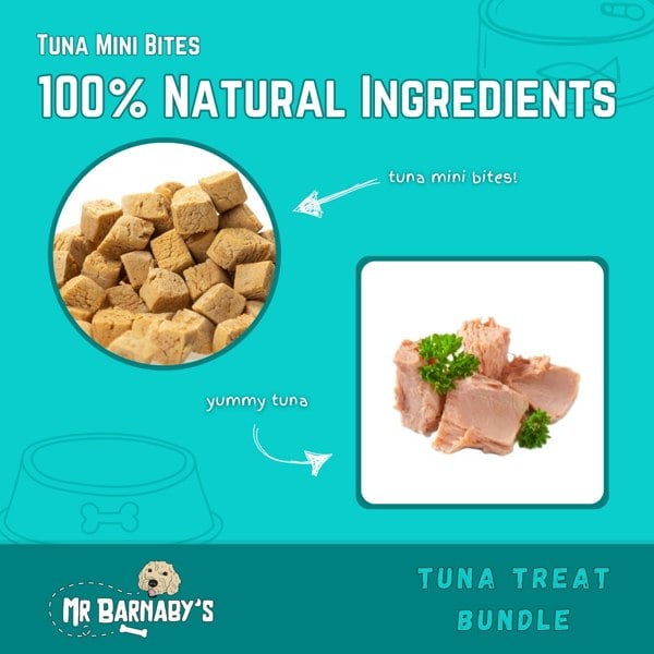 Mr Barnaby's Tuna Treat Bundle