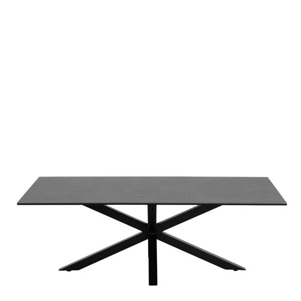 Wyld Haus Perth Black Ceramic Rectangular Coffee Table