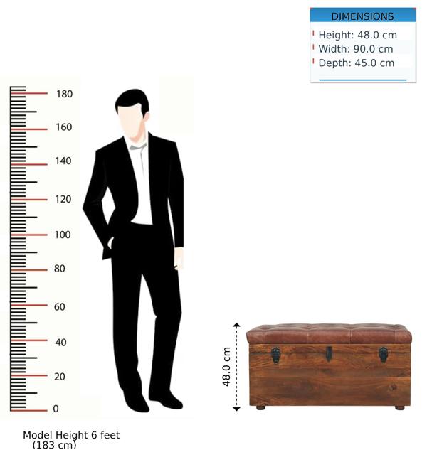 Artisan Furniture Solid Wood Brown Buffalo hide leather Storage Trunk