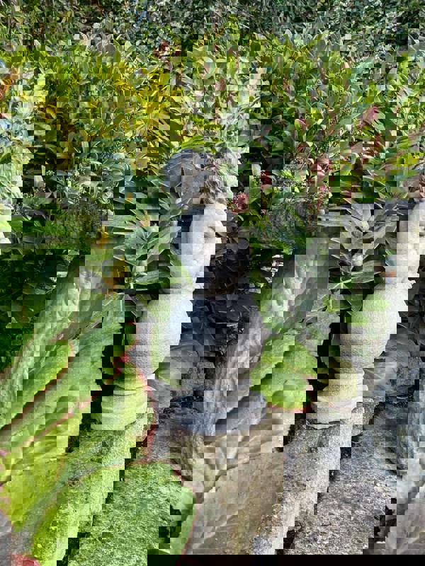 Adorable Stone Cast Boy on Ball Statue